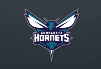 Charlotte Hornets Charlotte Hornets Logo