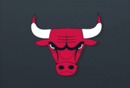 Chicago Bulls Chicago Bulls Logo